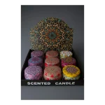 WhatsApp Image 2025-11-04 at 16.40.19